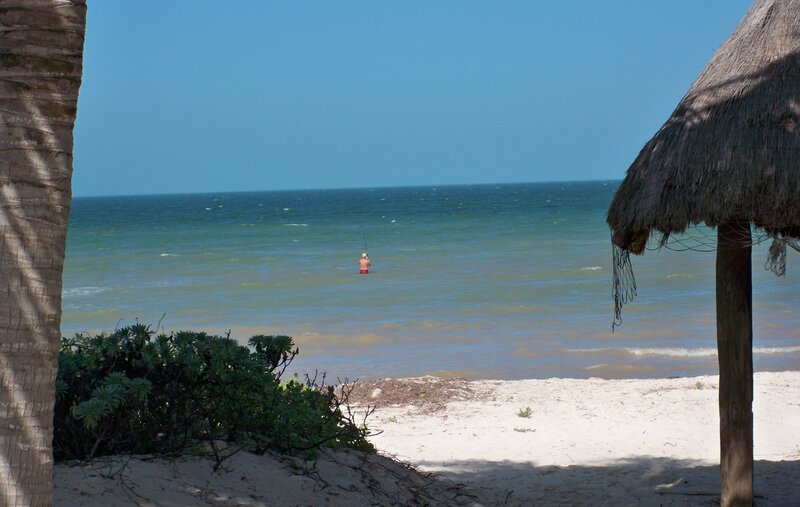 Person Fishing in Ocean