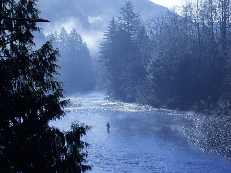 Person Fishing in River — Blue