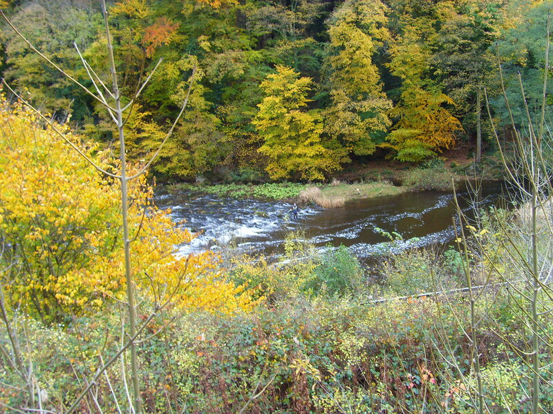 Person Fishing in River