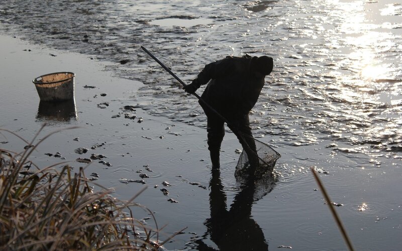 Person Fishing in Shallow Water