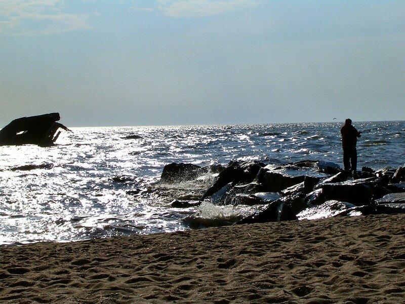 Person fishing on a rocky shore