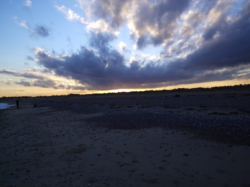 Person Fishing on Beach — Blue