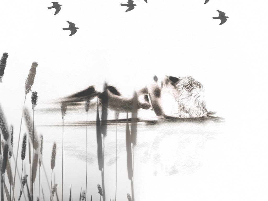person floating in water