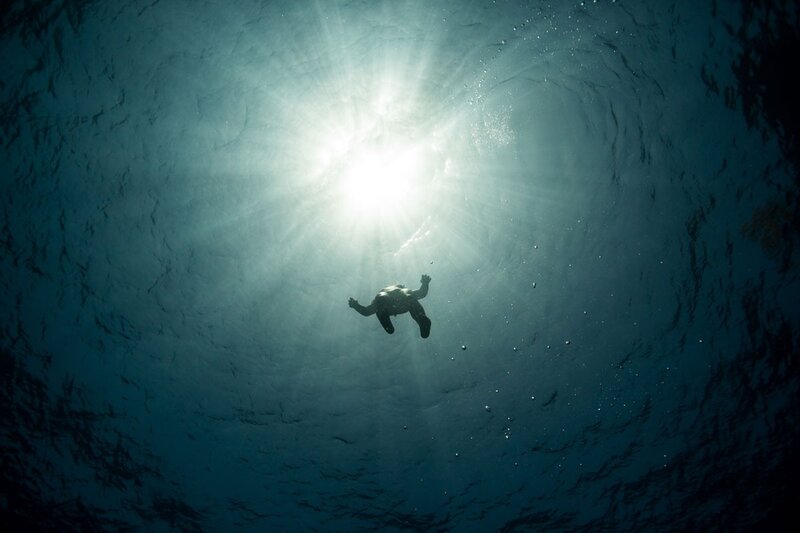 Person Floating Underwater — Blue, Serene, Afternoon
