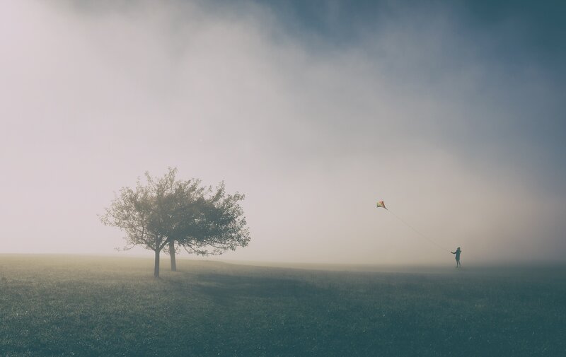 Person Flying Kite — Green
