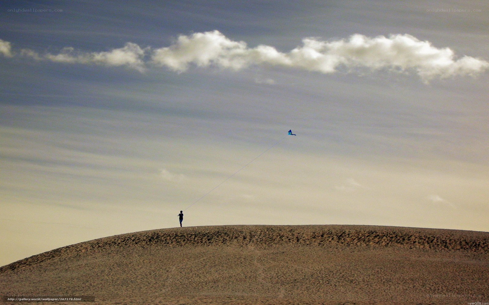 Person flying kite on dune