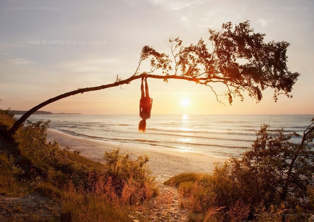 Person hanging from tree at sunset