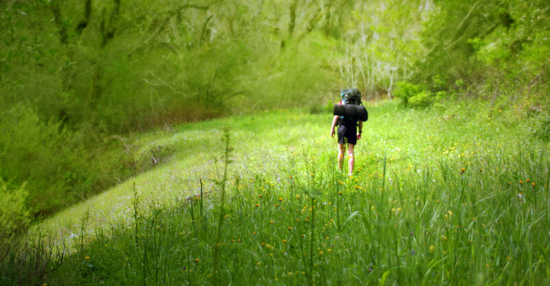 Person Hiking in Field