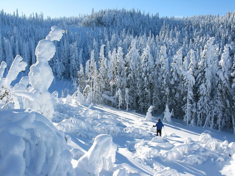 Person hiking in snowy forest
