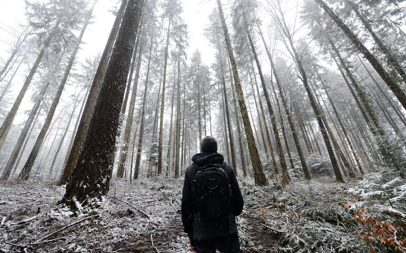 Person hiking in snowy forest
