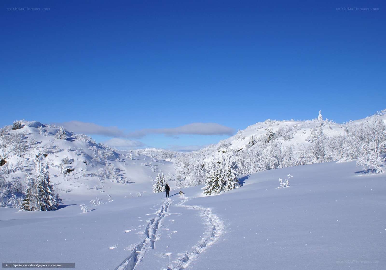 person hiking in snowy landscape