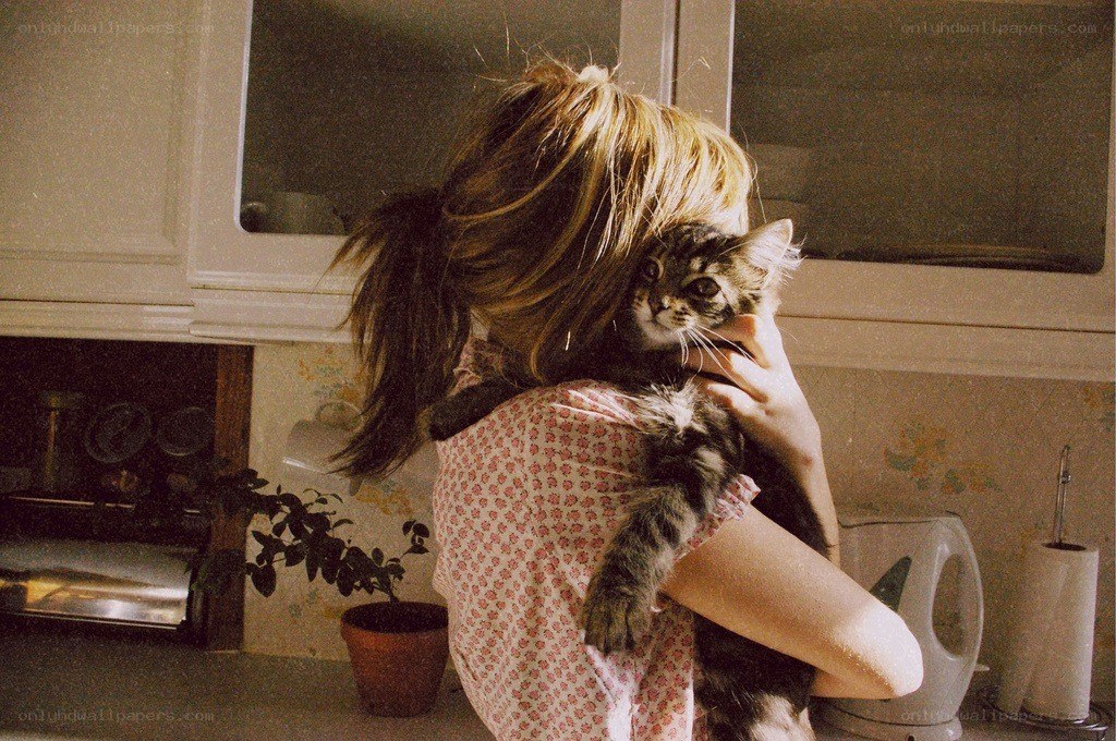 person holding a cat in kitchen