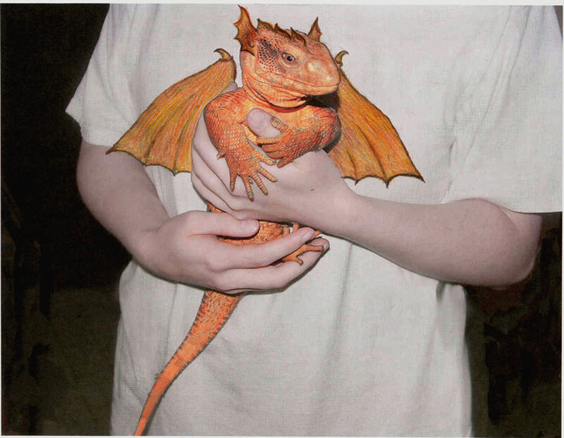 person holding a dragon figurine