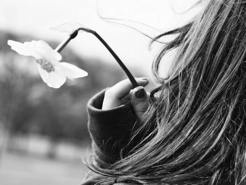 Person Holding a Flower — Black