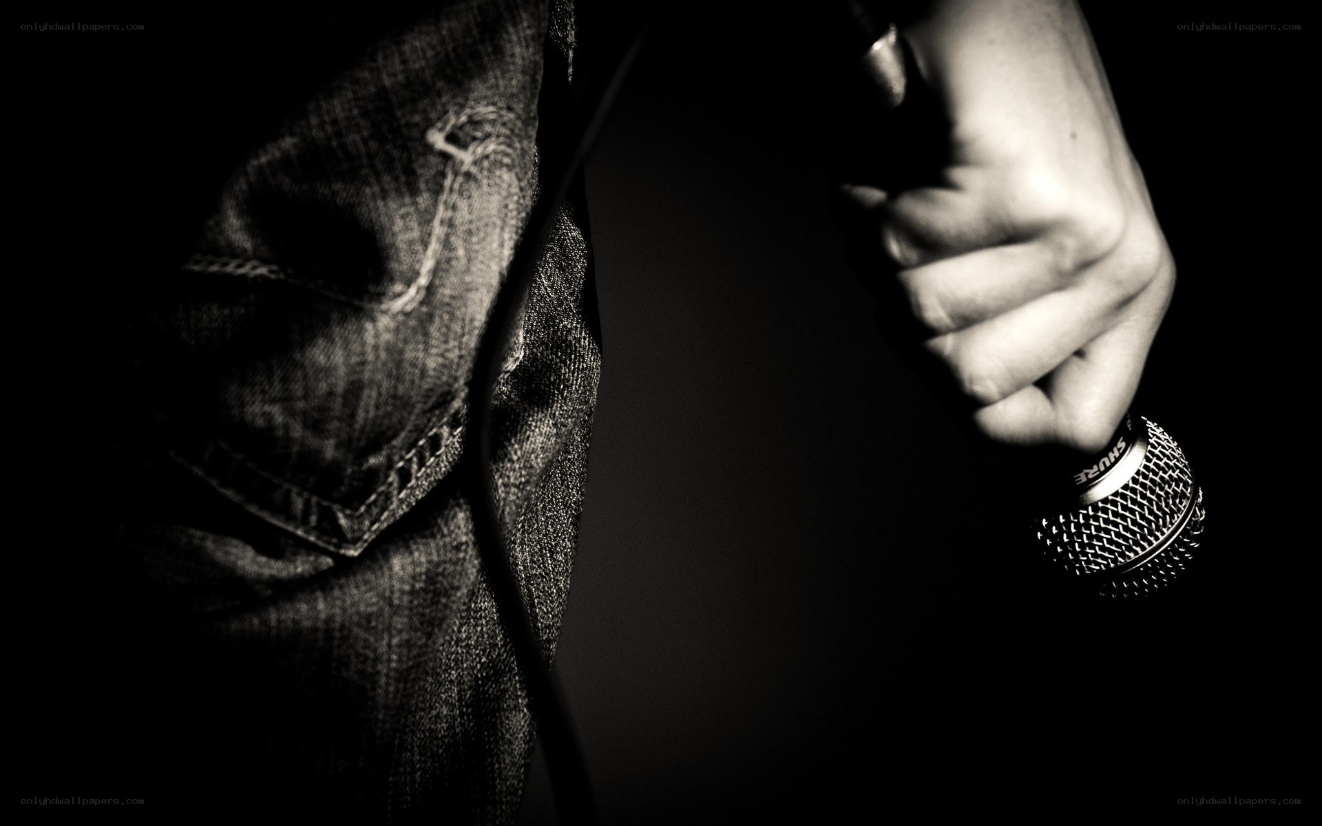 person holding a microphone