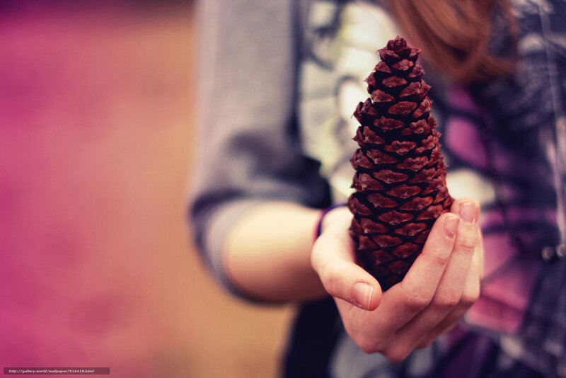 person holding a pinecone