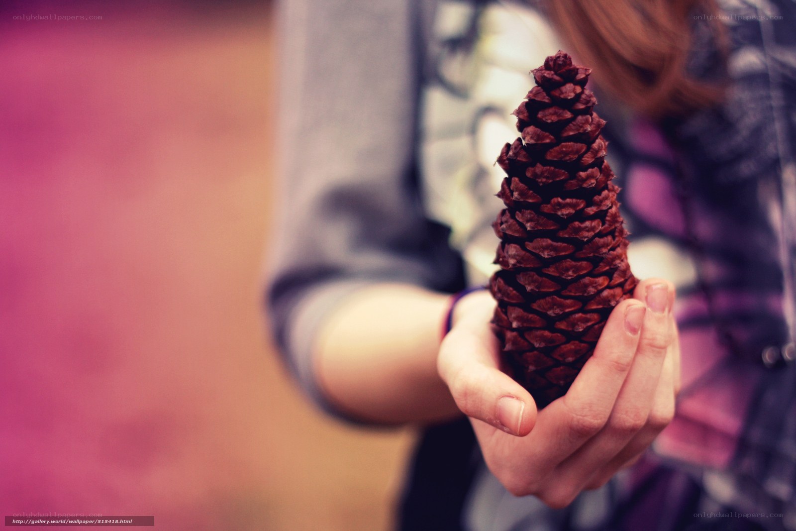 person holding a pinecone