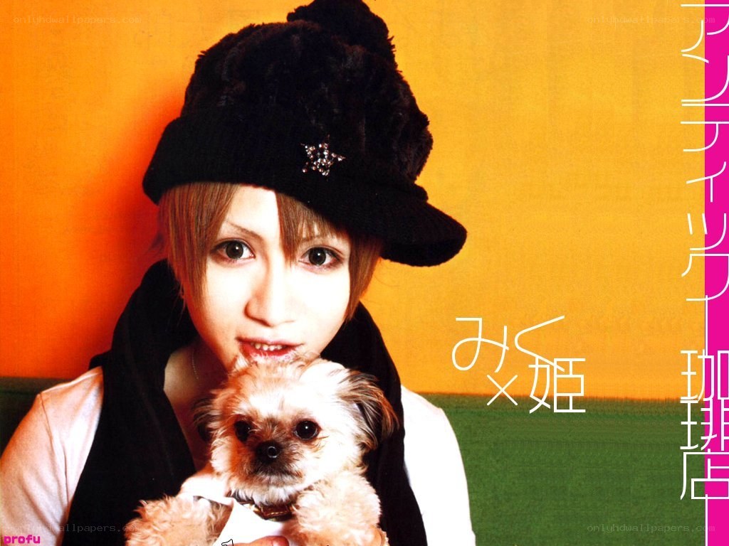 person holding a small dog