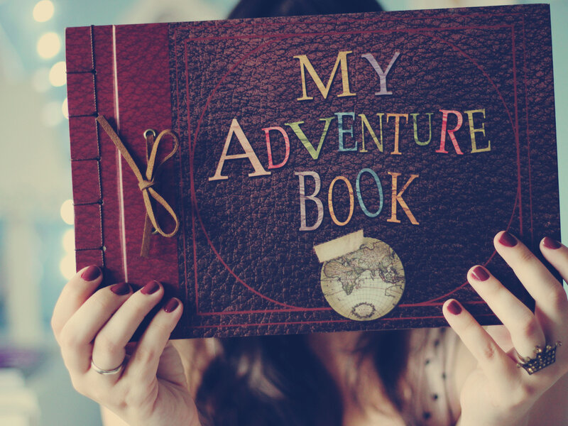 Person Holding Adventure Book