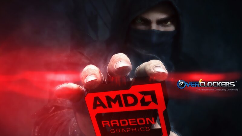 Person Holding AMD Logo