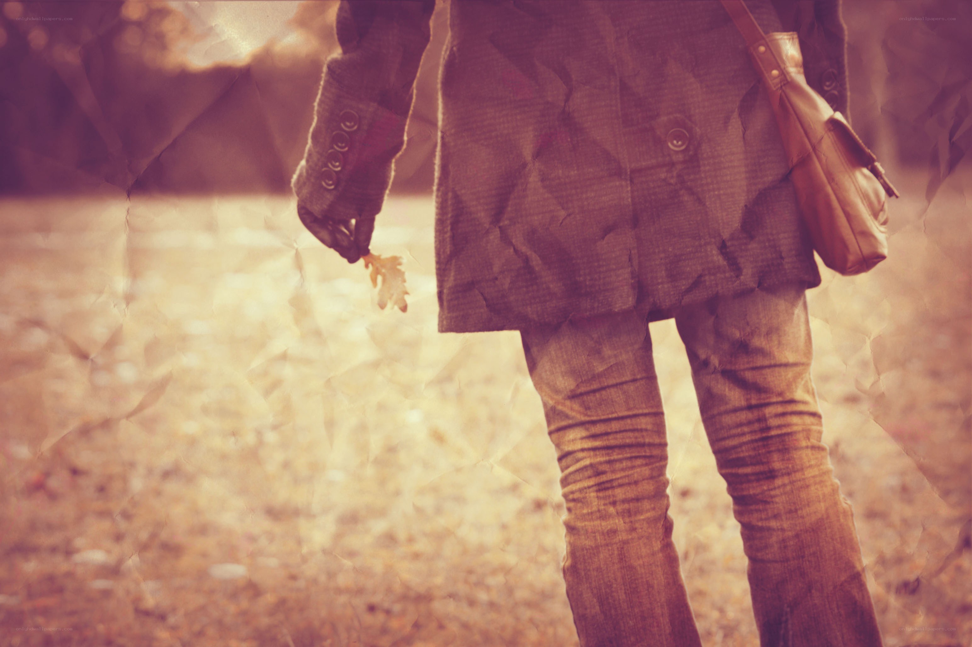 person holding autumn leaf