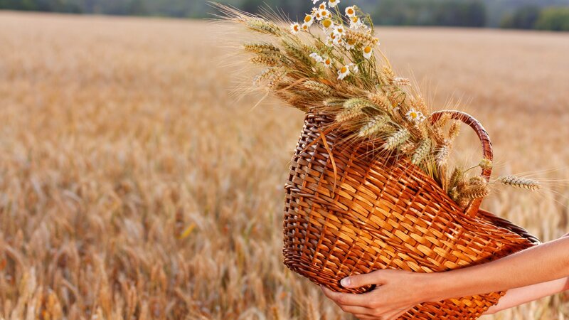Person Holding Basket — Brown, Serene