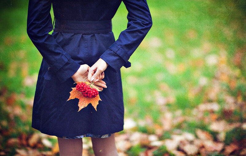Person Holding Berries