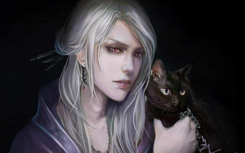 Person Holding Black Cat