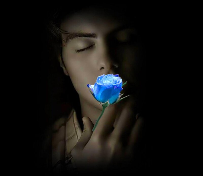 Person Holding Blue Rose