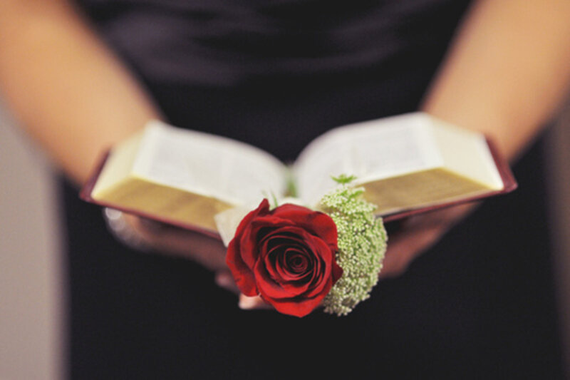 Person Holding Book and Rose