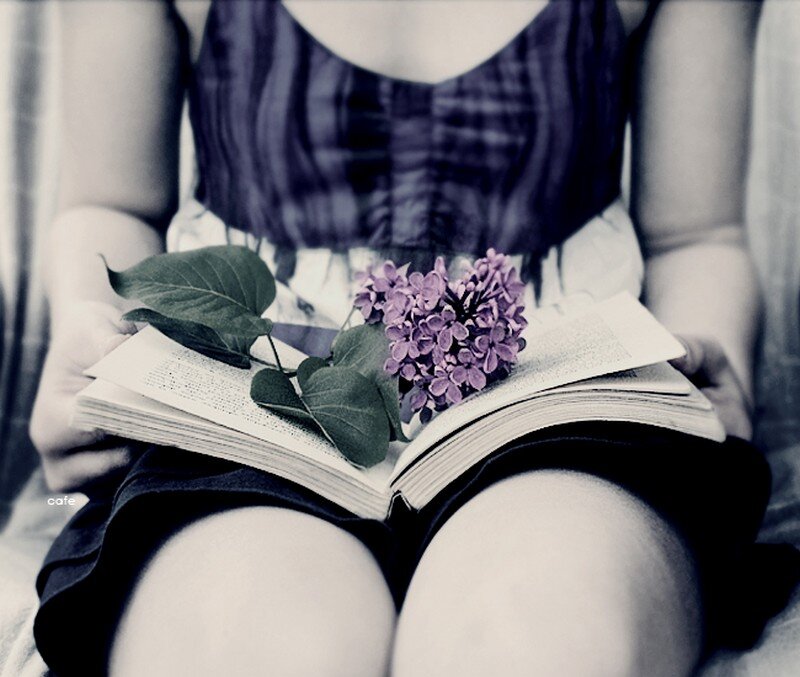 Person Holding Book