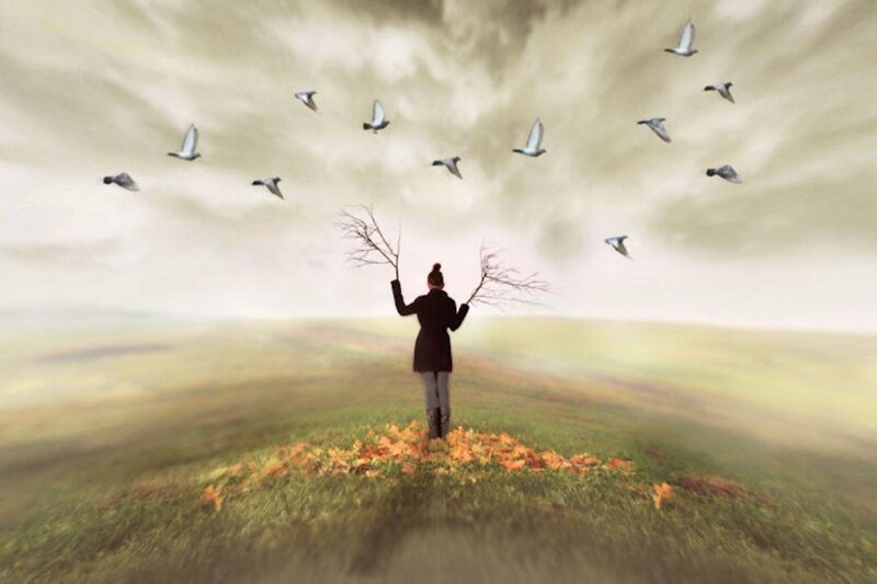 Person Holding Branches