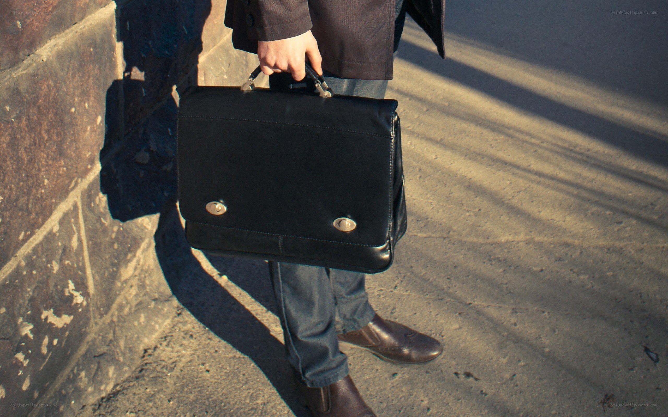 person holding briefcase