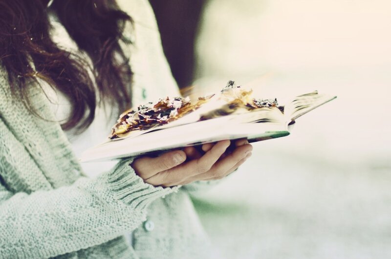 Person Holding Burning Book