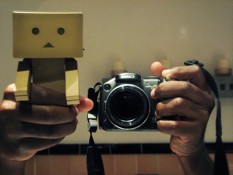 person holding camera and danbo figure