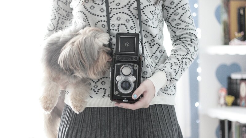 Person Holding Camera and Dog — White