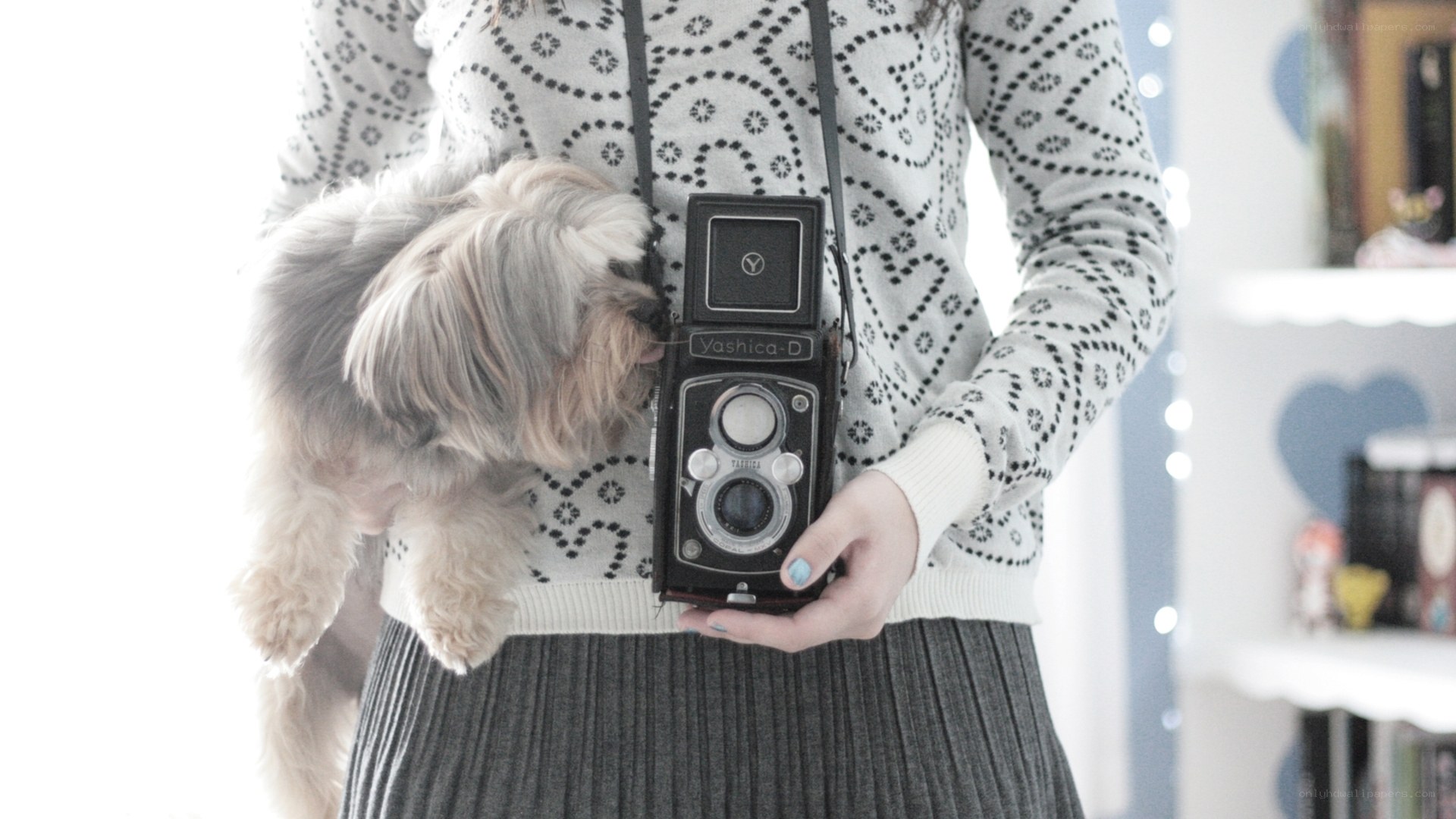 person holding camera and dog