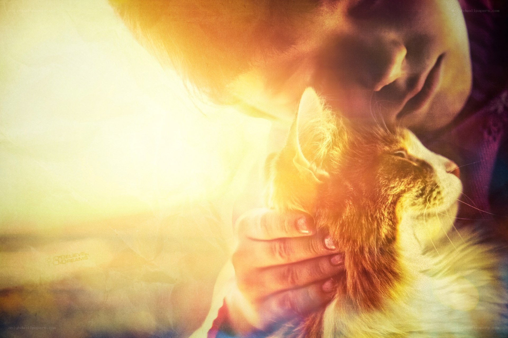 person holding cat in sunlight