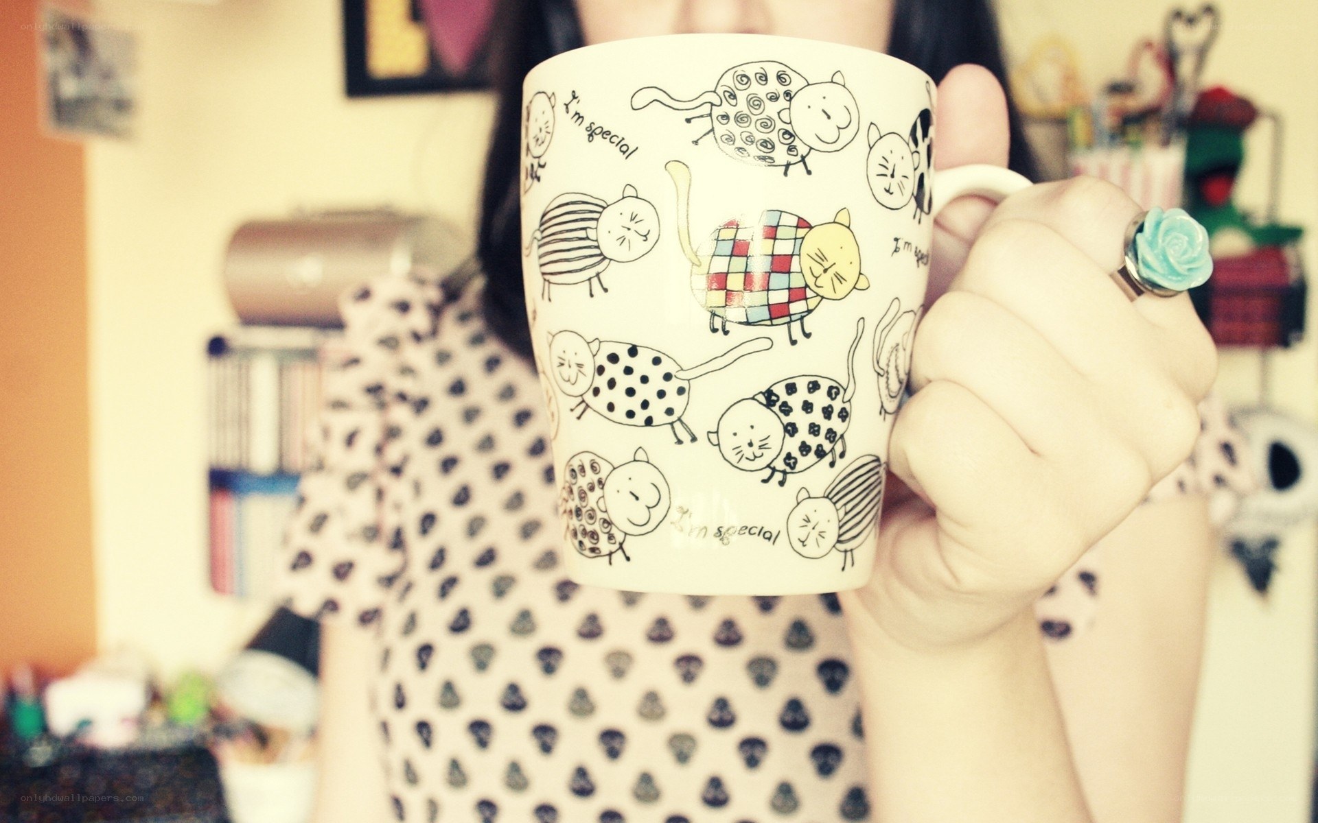 person holding cat mug