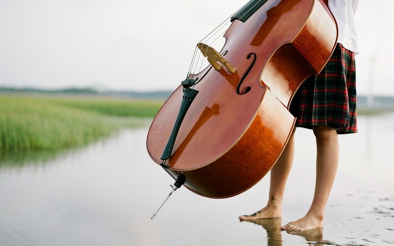 Person Holding Cello