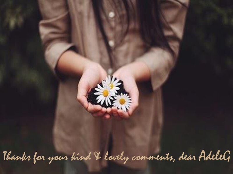 Person Holding Daisies