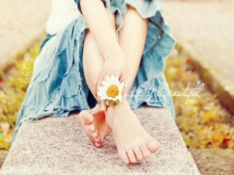 Person Holding Daisy Flower