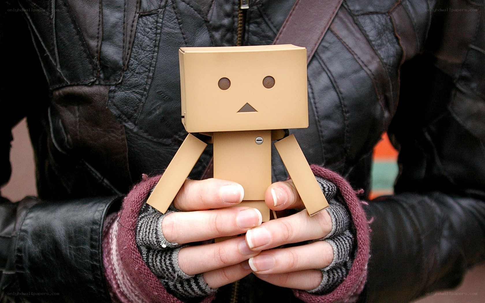 person holding danbo figure