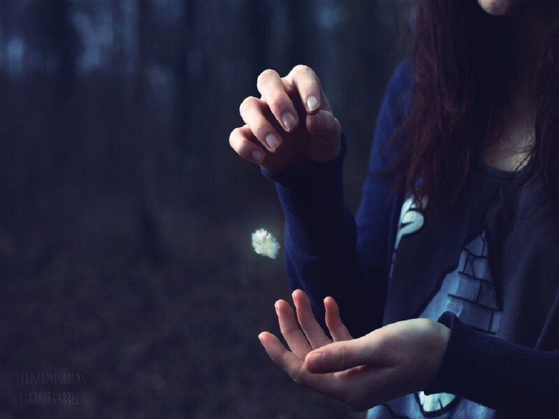 Person Holding Dandelion Seed