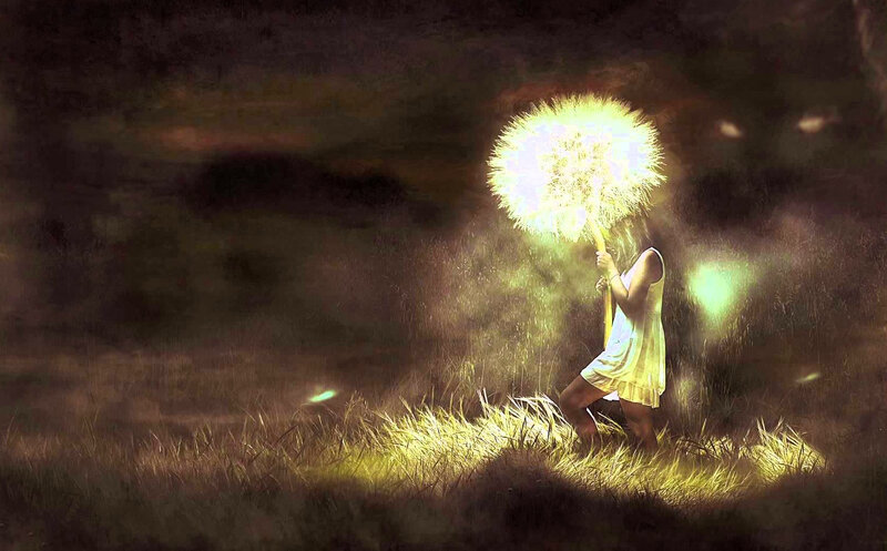 Person Holding Dandelion — Yellow, Dreamy