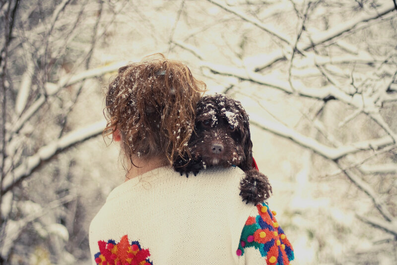 Person Holding Dog in Snow