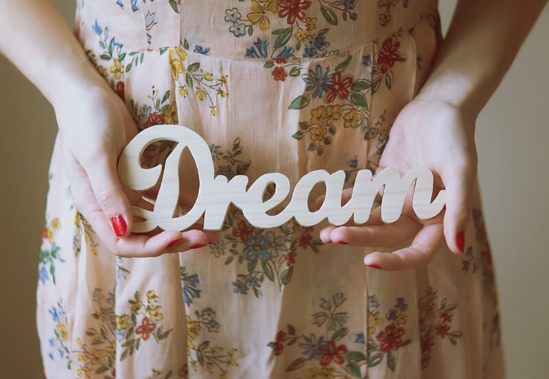 Person Holding Dream Sign