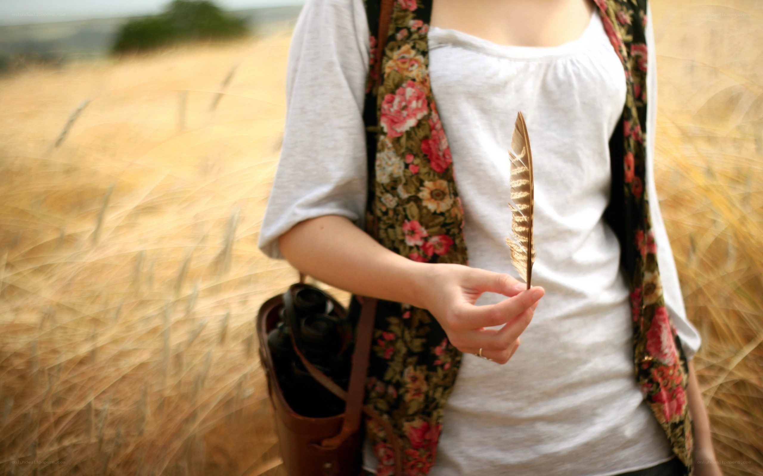 person holding feather in field