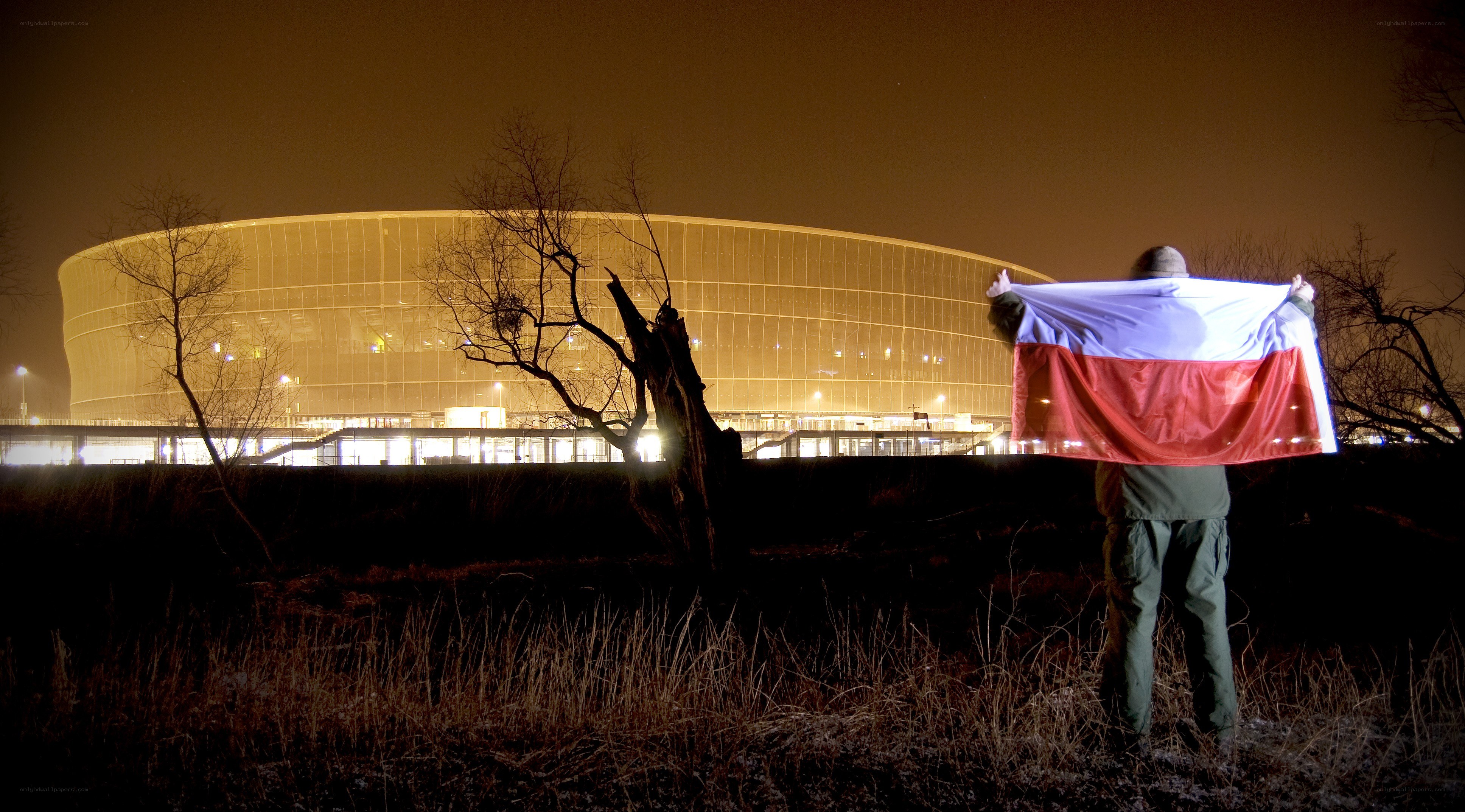 Person holding flag at night
