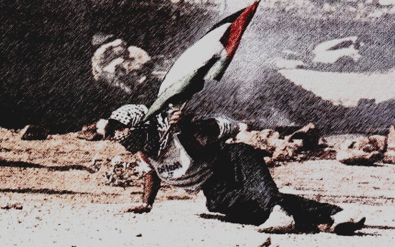 Person Holding Flag